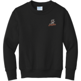 Danbury Hat Tricks Youth Core Fleece Crewneck Sweatshirt